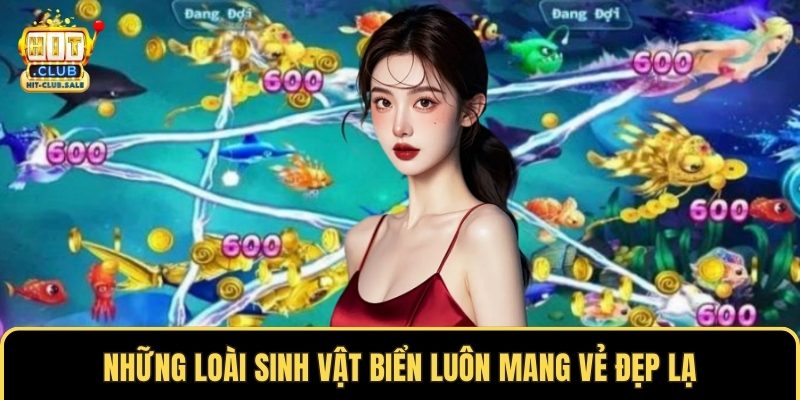 Những loài sinh vật biển luôn mang vẻ đẹp lạ