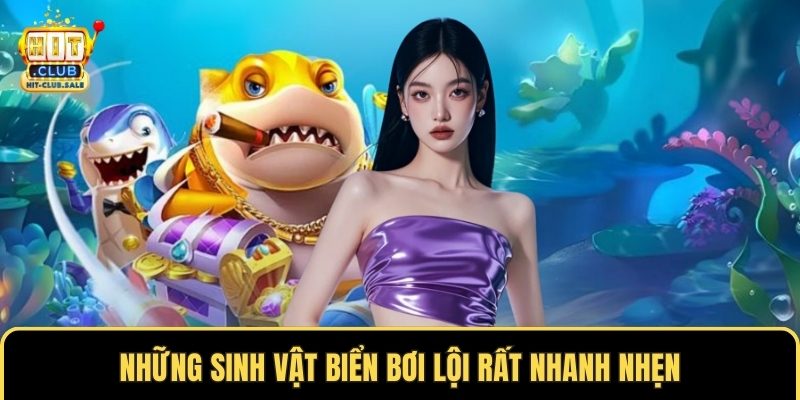 Những sinh vật biển bơi lội rất nhanh nhẹn