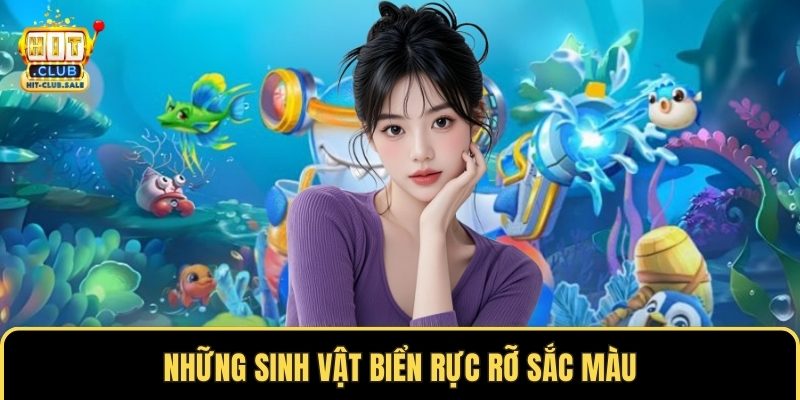 Những sinh vật biển rực rỡ sắc màu