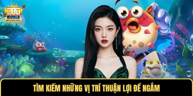 Tìm kiếm những vị trí thuận lợi để ngắm
